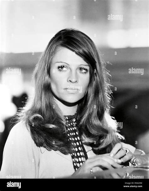 Julie Christie 1967 Stock Photo Alamy