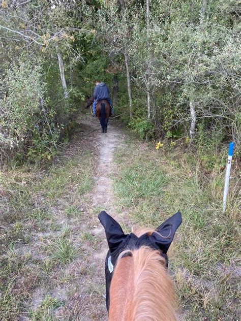 Hi/low, realfeel®, precip, radar, & everything you need to be ready for the day, commute, and weekend! Deer Creek State Park - TrailMeister