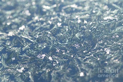 Ice Crystals Photograph By Michelle Cyr Fine Art America