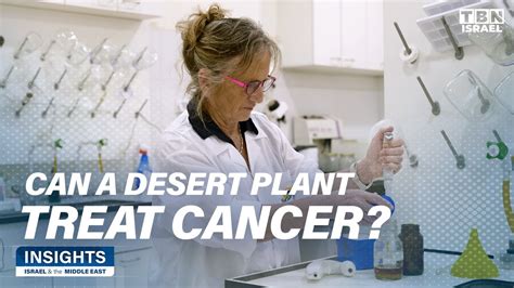 Transforming The Desert Part 2 Cancer Cure In Plants And Cropx