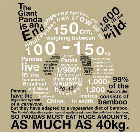 50 Informative And Well Designed Infographics Save The Pandas Panda
