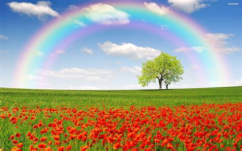 rainbow landscape wallpapers top free rainbow landscape backgrounds wallpaperaccess