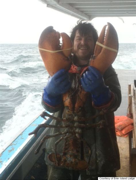 Giant Lobster Weighing 17 Pounds Snagged By Nova Scotia Fisherman