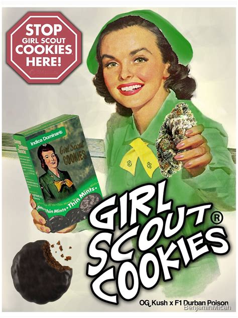 Girl Scout Cookies 1 T Shirt By Benjaminmicah Redbubble