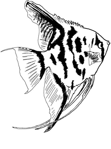 Https://techalive.net/coloring Page/aquarium Fish Coloring Pages