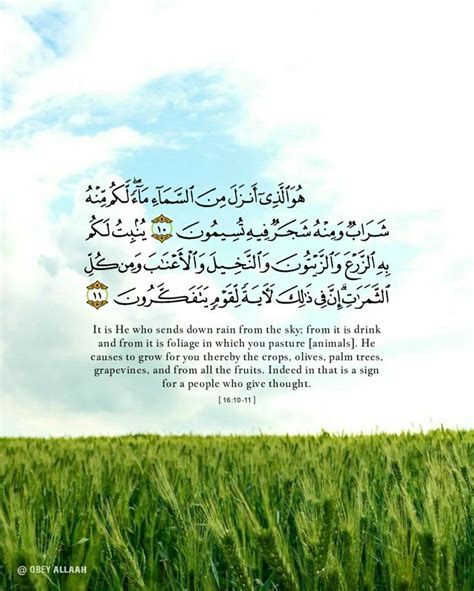 Quran Verse Surah An Nahl