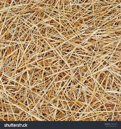 Straw Texture Background Stock Photo 107863529 Shutterstock