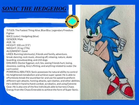 Sonic The Hedgehog Character Profile By Vjtheechidnahog On Deviantart