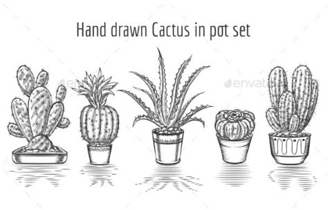 Beauty Cacti Hand Drawn Cactus In Pot Set How To Draw Hands Cactus