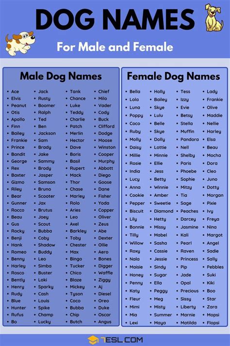 Dog Names 100 Most Popular Male And Female Dog Names 7esl Female
