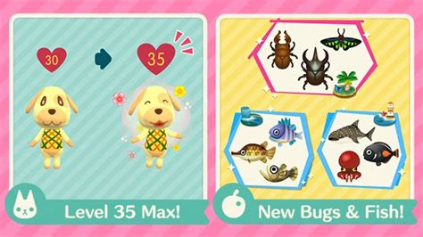 Animal Crossing New Leaf Bug Guide Kasapclinic