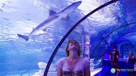 Aquarium In Antalya Oceanarium From Side Program Price 2021