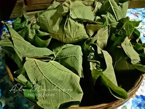 Nasi Pecel Bungkus Daun Jati Bungkusnya Ramah Lingkungan Ali Muchson