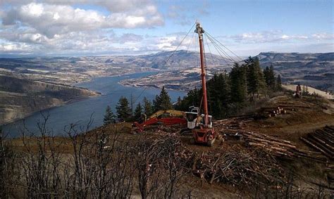 Logging Rigging Men And Timber Fallers Wayne Stone Side On The