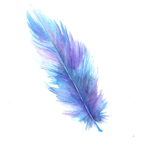 Watercolor Transparent Background Feather Clipart Full Size Clipart Images