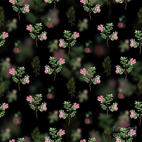 Vintage Hairy Alpenrose Floral Garden Pattern On Black N0425 Mixed Media By Holy Rock Design