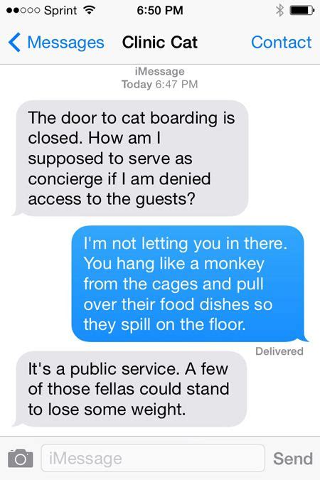 More Texts From Your Veterinary Clinic Cat Firstline Veterinary