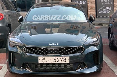 New Kia Logo Spied On Stinger And Carnival Carbuzz