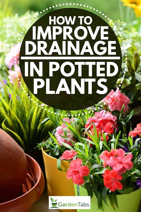 Top How To Create Well Drained Soil In Pots