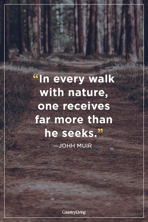 25 Hiking Quotes That Will Inspire Your Next Adventure Trekking
