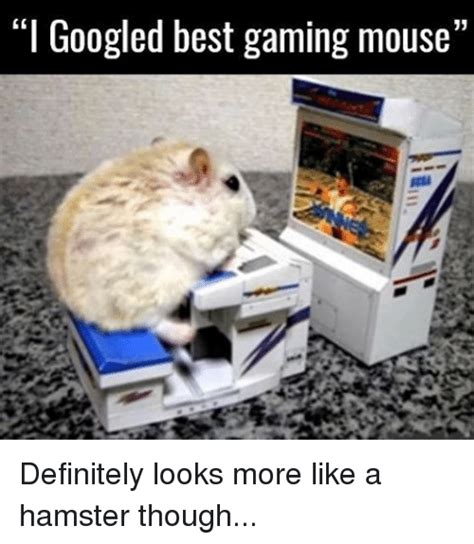25 Best Memes About Hamstering Hamstering Memes