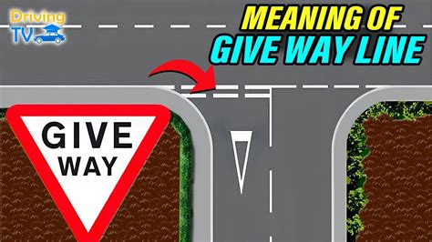 The Meaning Of Give Way Line Why Do We Have Give Way Line Youtube