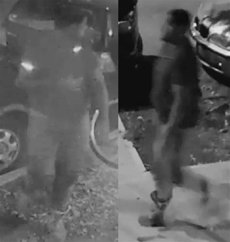 See It Police Release Surveillance Video In Search For Sex Assault