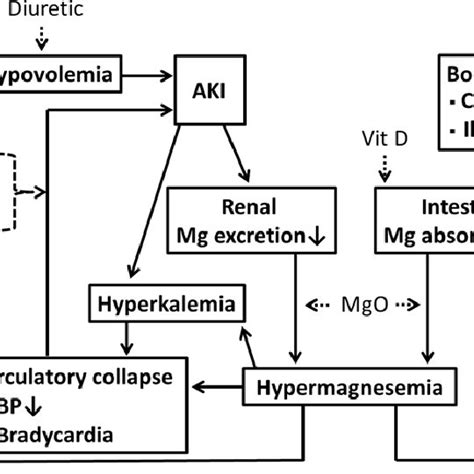 Serum Magnesium Mg Concentration And The Clinical Manifestations