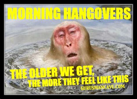 Hangover Memes Funny Hang Over Pics