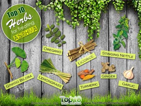Top 10 Herbs For Treating Asthma Top 10 Home Remedies