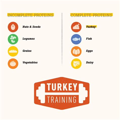 Turkey The Perfect Protein The Ntf Gobbler National Turkey Federation
