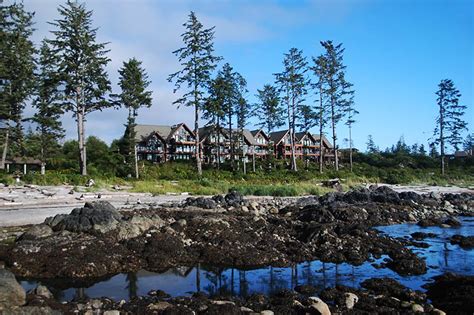 Ucluelet Vancouver Island News Events Travel Accommodation