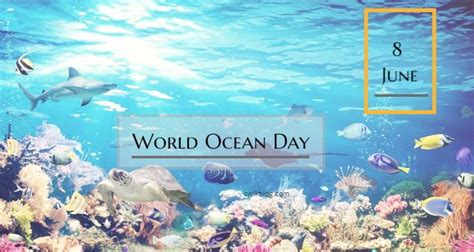 World Ocean Day 8th June 2023 Theme Swikritis Blog