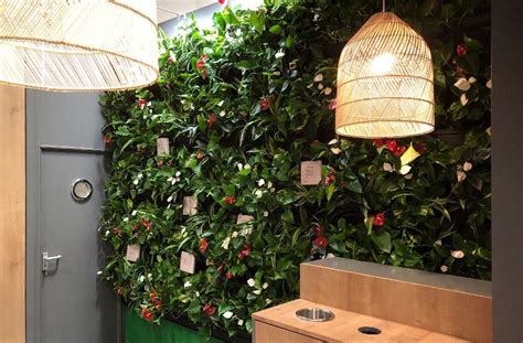 Living Walls Living Wall Specialists Inleaf