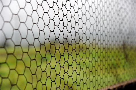 The ends of the wire are extremely. Tips on How to Install a Chicken Wire Fence to Protect ...