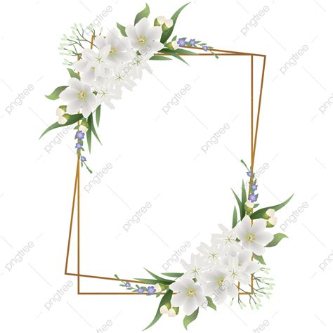 Ic22830 Flower Frame With Beautiful Vector White Flowers Flower Frame