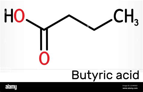 Butyric Acid Butanoic Acid Molecule Butyrates Or Butanoates Are Salts