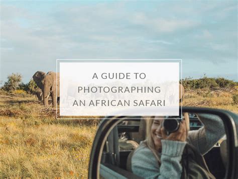 The Ultimate Tanzania Travel Guide The Blonde Abroad