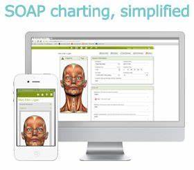 Soap Vault Online Soap Notes Charting Software For Therapists