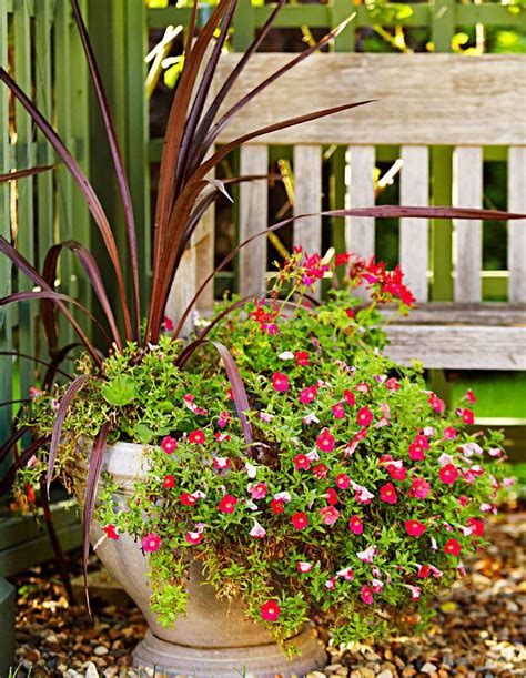 Container Gardens That Last All Season