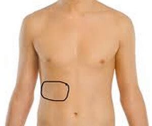 The liver is a large, meaty organ that sits on the right side of the belly. Pain Under Right Rib Cage