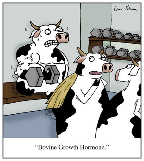 Bovine Growth Hormone By Humoresque Nature Cartoon Toonpool