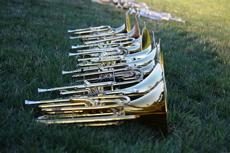 Music Musical Instruments Horns Free Photo On Pixabay