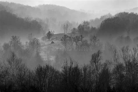 Grayscale Of Forests With Mountains In The Background Covered In Fog