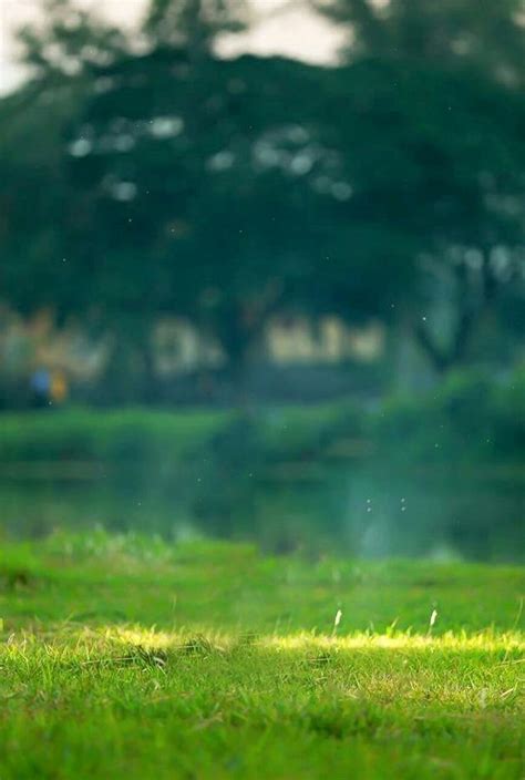 HD BLUR BACKGROUND FOR PHOTO EDITING I PICSART & PHOTOSHOP ... Just upload an image and photoscissors will fully automatically remove background and will allow you to change it to transparent, colored or image one.