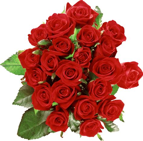 Download Bouquet Of Roses Png Image Picture Download HQ PNG Image png image