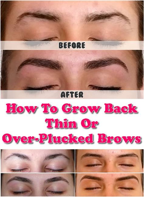How To Fix Over Plucked Eyebrows Eyebrowshaper