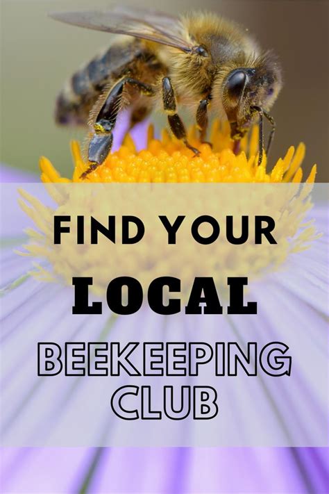 Find Your Local Beekeepers Association Bee Keeping Finding Yourself Backyard Farming
