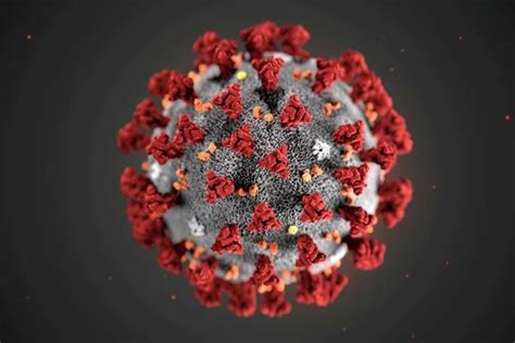 Person starts to feel sick in 1 to 14 days. CORONAVIRUS LIVE UPDATES CORONAVIRUS UPDATES CORONAVIRUS ...