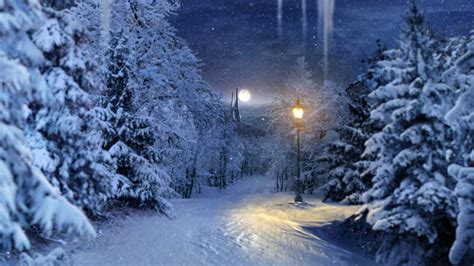 The magical snowy scene | RNIB | Flickr